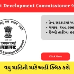 Assistant Development Commissioner Vacancy 2026 hindinewsinsider com hindinewsinsider .in hindinewsinsider.com hindinewsinsider.in indianewsinsider.com indianewsinsider